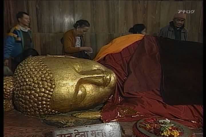 Y1500 古代インド 仏陀の時代 アシュマカ国 未発表 最高品-